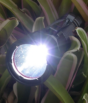 JET-III PRO I.B.S (3.7V Special Version)