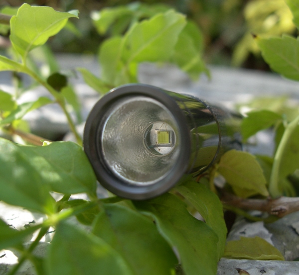 LiteFlux LF2 X CREE Q5