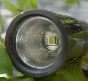 LiteFlux LF2 X CREE Q5