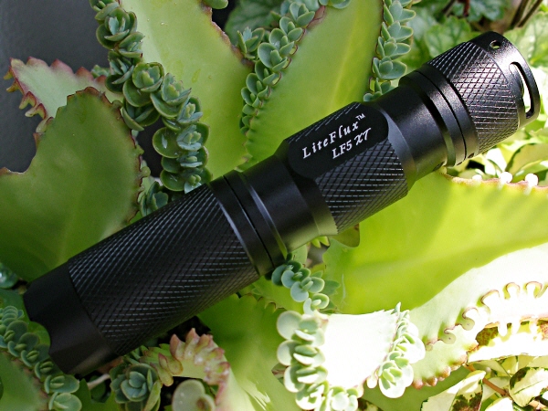 LiteFlux LF5 XT : Black Body